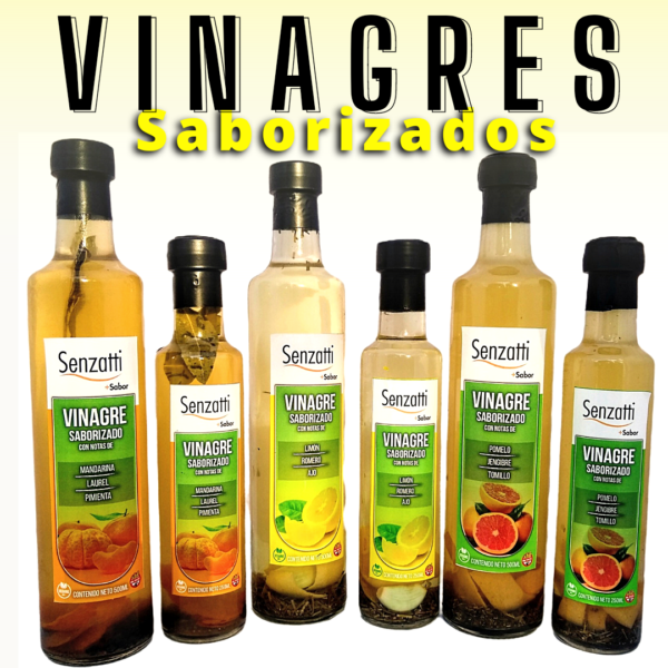 Vinagre Saborizado limón, romero y ajo 250ml - Image 2